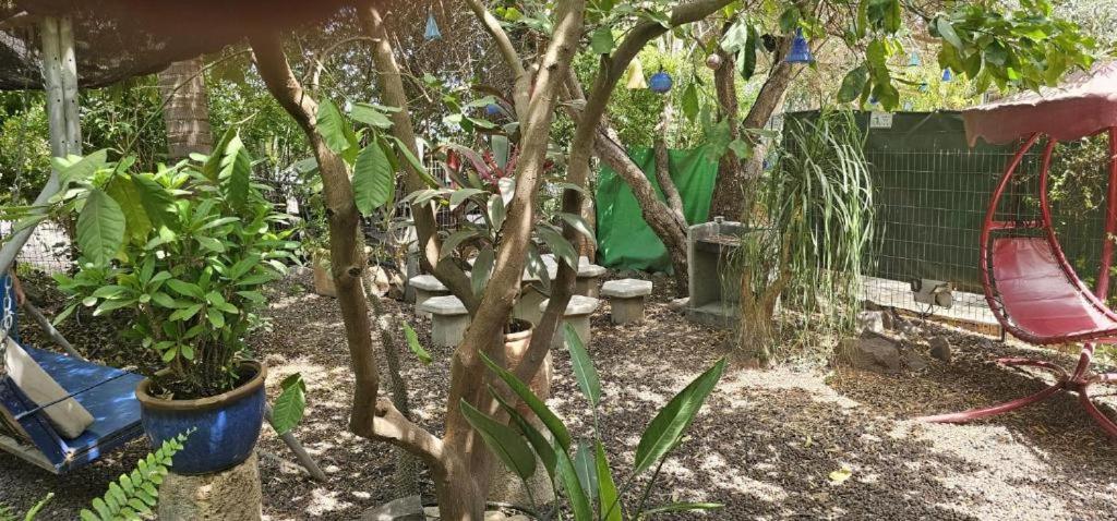 נופש דביר - סוויטות מהממות ובקתה כפרית עם ג'קוזי ליד הכנרת - יש מקלט צמוד Villa Migdal Bilik gambar